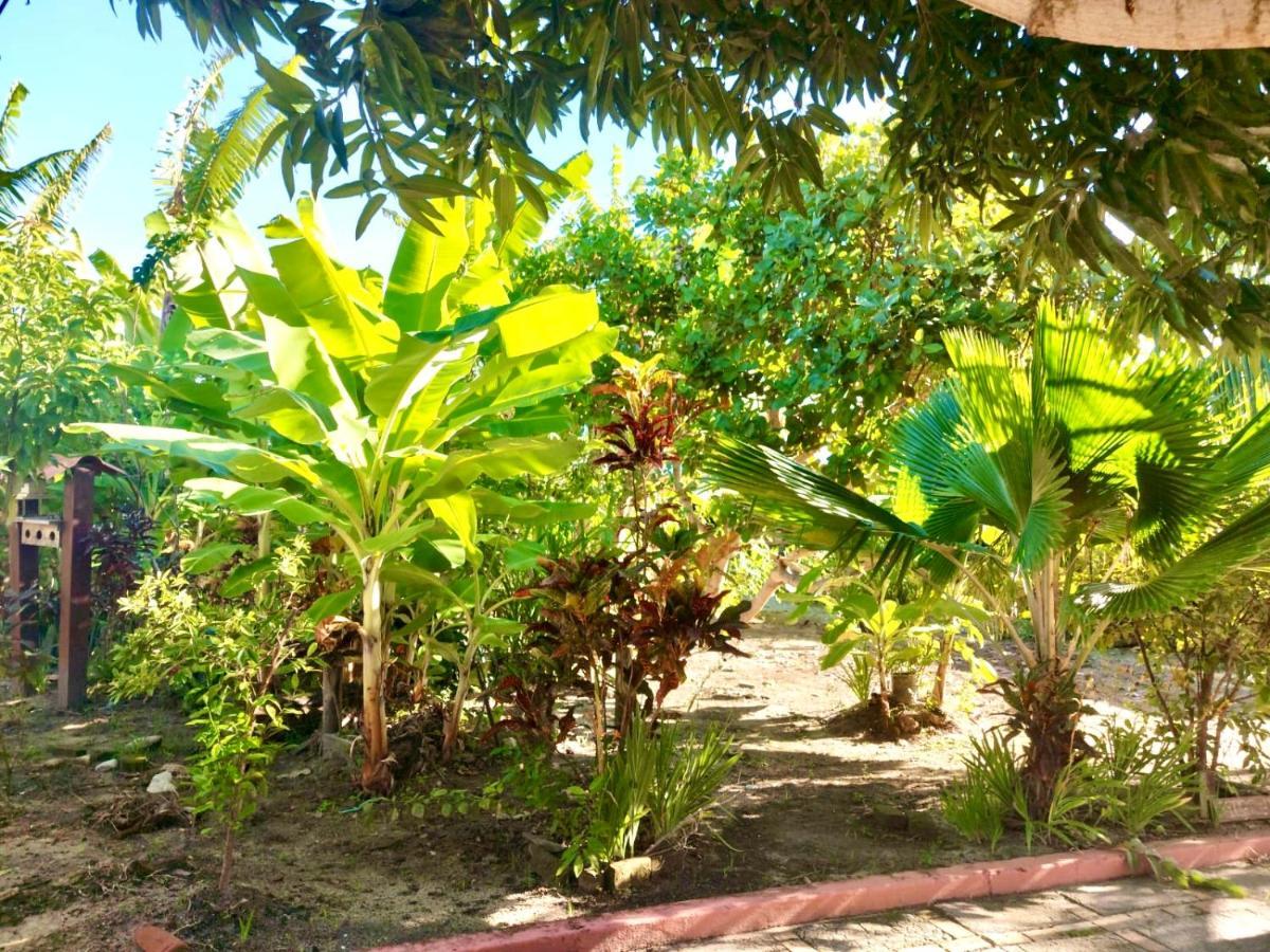 Вілла Branca Tropical Brasil Residencial- Taperapuan Порту-Сегуру Екстер'єр фото